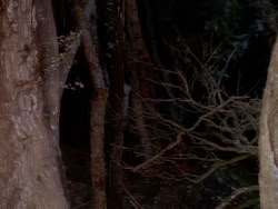 extant_XenaWarriorPrincess_1x06_TheReckoning_02100