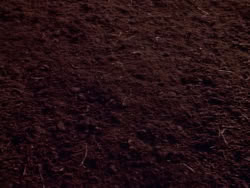 extant_XenaWarriorPrincess_1x06_TheReckoning_02106