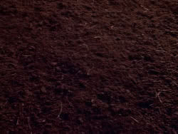 extant_XenaWarriorPrincess_1x06_TheReckoning_02107