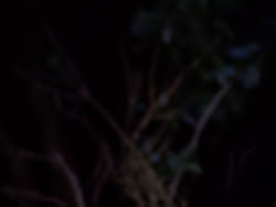extant_XenaWarriorPrincess_1x06_TheReckoning_02111