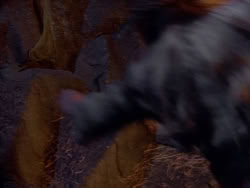 extant_XenaWarriorPrincess_1x06_TheReckoning_02883