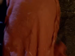 extant_XenaWarriorPrincess_1x06_TheReckoning_02899