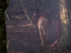 extant_XenaWarriorPrincess_1x06_TheReckoning_03642