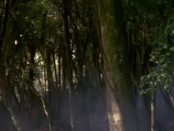 extant_XenaWarriorPrincess_1x06_TheReckoning_03654