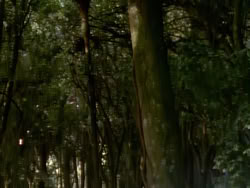 extant_XenaWarriorPrincess_1x06_TheReckoning_03656