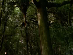 extant_XenaWarriorPrincess_1x06_TheReckoning_03657