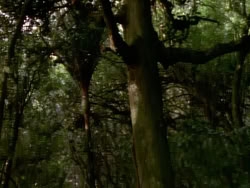 extant_XenaWarriorPrincess_1x06_TheReckoning_03658