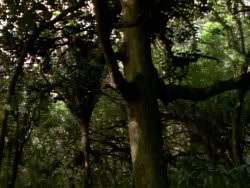 extant_XenaWarriorPrincess_1x06_TheReckoning_03659