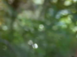 extant_XenaWarriorPrincess_1x07-TheTitans_00077