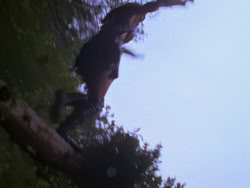 extant_XenaWarriorPrincess_1x07-TheTitans_00093