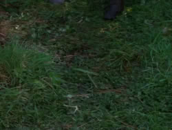extant_XenaWarriorPrincess_1x07-TheTitans_00115