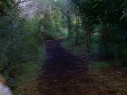 extant_XenaWarriorPrincess_1x07-TheTitans_00230