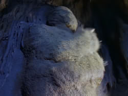 extant_XenaWarriorPrincess_1x07-TheTitans_00388
