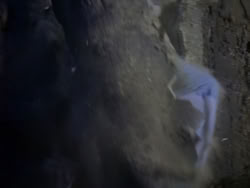 extant_XenaWarriorPrincess_1x07-TheTitans_00397