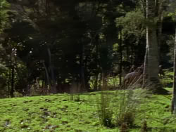 extant_XenaWarriorPrincess_1x07-TheTitans_00593
