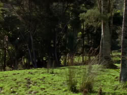 extant_XenaWarriorPrincess_1x07-TheTitans_00594