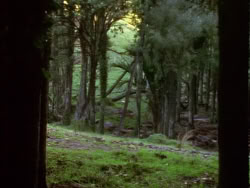 extant_XenaWarriorPrincess_1x07-TheTitans_00595