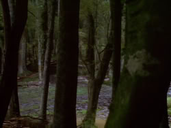 extant_XenaWarriorPrincess_1x07-TheTitans_00602