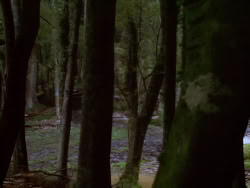 extant_XenaWarriorPrincess_1x07-TheTitans_00603