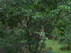 extant_XenaWarriorPrincess_1x07-TheTitans_01926