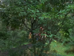 extant_XenaWarriorPrincess_1x07-TheTitans_01927