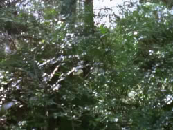 extant_XenaWarriorPrincess_1x07-TheTitans_02079