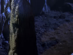 extant_XenaWarriorPrincess_1x07-TheTitans_02100