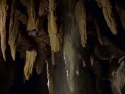 extant_XenaWarriorPrincess_1x07-TheTitans_02110
