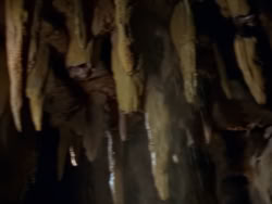 extant_XenaWarriorPrincess_1x07-TheTitans_02111