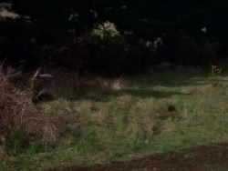 extant_XenaWarriorPrincess_1x07-TheTitans_02217