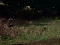 extant_XenaWarriorPrincess_1x07-TheTitans_02218