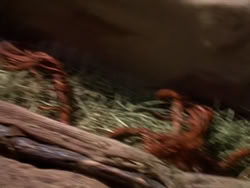 extant_XenaWarriorPrincess_1x07-TheTitans_02502