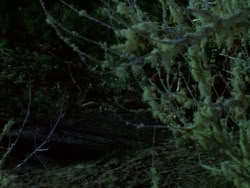 extant_XenaWarriorPrincess_1x07-TheTitans_03177
