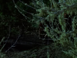 extant_XenaWarriorPrincess_1x07-TheTitans_03178