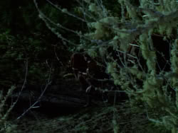 extant_XenaWarriorPrincess_1x07-TheTitans_03179
