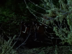 extant_XenaWarriorPrincess_1x07-TheTitans_03181