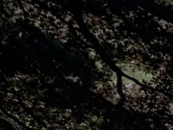 extant_XenaWarriorPrincess_1x08-Prometheus_00005