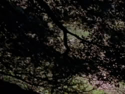 extant_XenaWarriorPrincess_1x08-Prometheus_00006