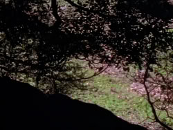 extant_XenaWarriorPrincess_1x08-Prometheus_00009