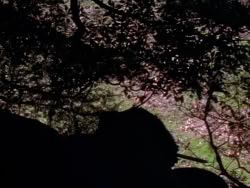 extant_XenaWarriorPrincess_1x08-Prometheus_00013