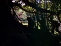 extant_XenaWarriorPrincess_1x08-Prometheus_00024