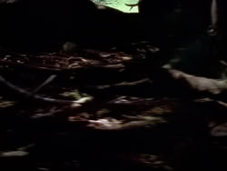 extant_XenaWarriorPrincess_1x08-Prometheus_00027