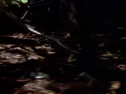 extant_XenaWarriorPrincess_1x08-Prometheus_00028