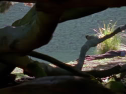 extant_XenaWarriorPrincess_1x08-Prometheus_00038