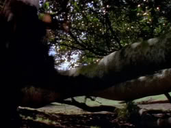 extant_XenaWarriorPrincess_1x08-Prometheus_00057