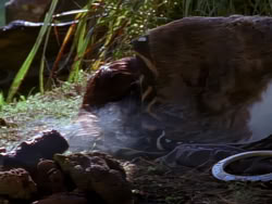 extant_XenaWarriorPrincess_1x08-Prometheus_00066
