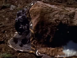 extant_XenaWarriorPrincess_1x08-Prometheus_00076