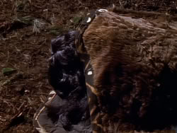 extant_XenaWarriorPrincess_1x08-Prometheus_00077