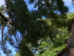 extant_XenaWarriorPrincess_1x08-Prometheus_00141