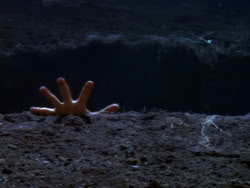 extant_XenaWarriorPrincess_1x08-Prometheus_01278